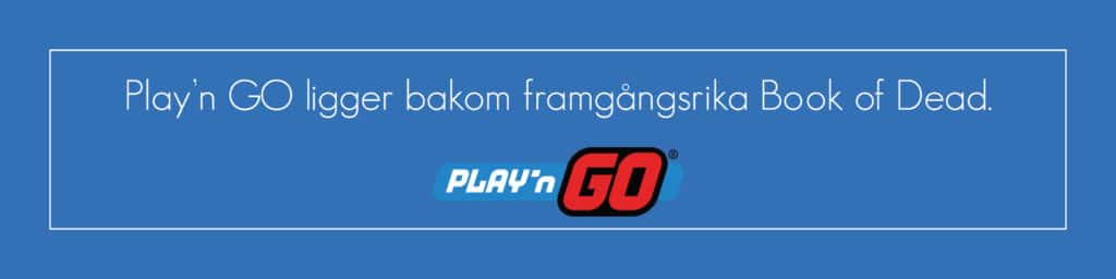 Play'n GO speltillverkare