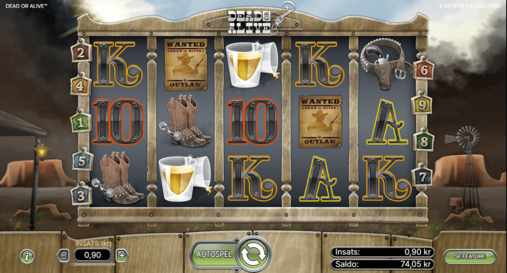 Så spelar du Dead or Alive